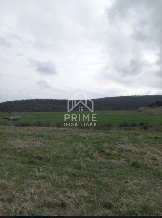 Terenuri de vanzare Alba Iulia Central 2