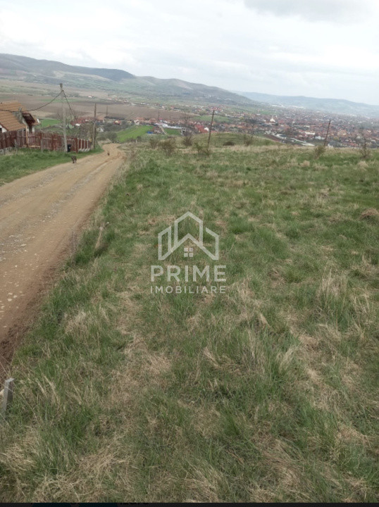 Terenuri de vanzare Alba Iulia Central 3