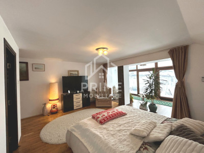 Case de vanzare Paclisa imagine mica 4