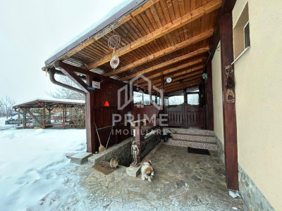 Case de vanzare Paclisa imagine mica 16