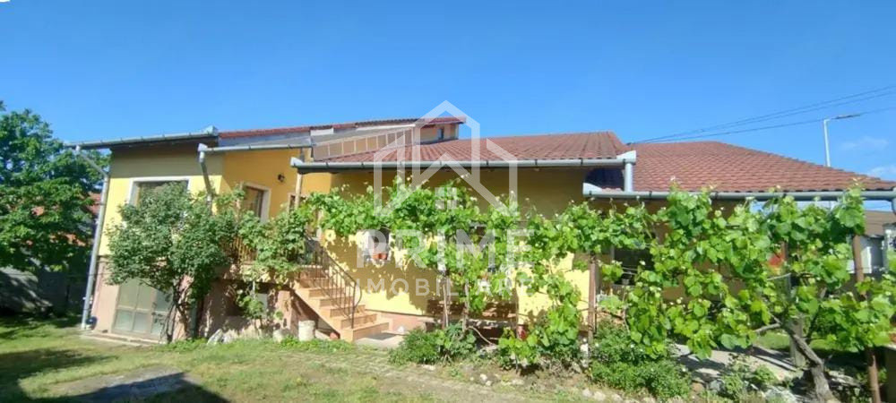 Case de vanzare Alba Iulia Central 1