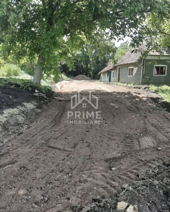 Terenuri de vanzare Henig 1