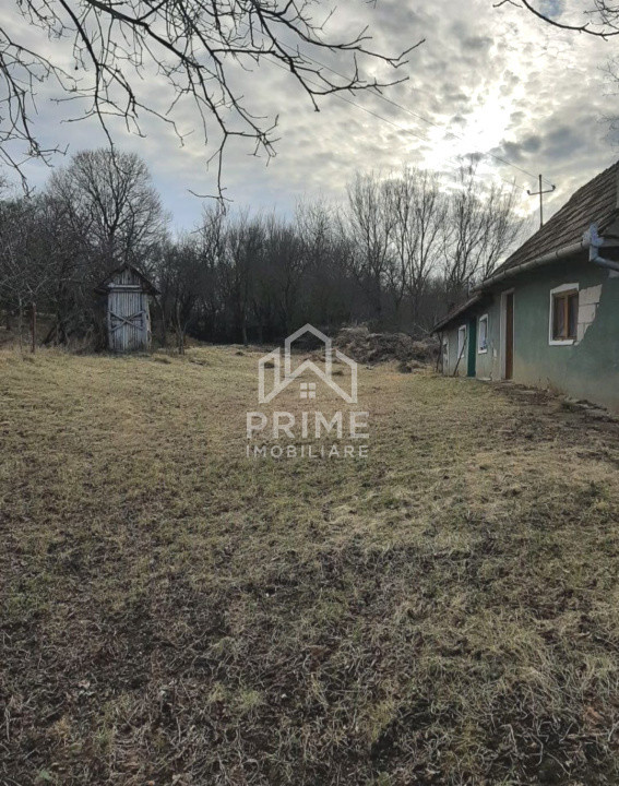 Terenuri de vanzare Henig 2