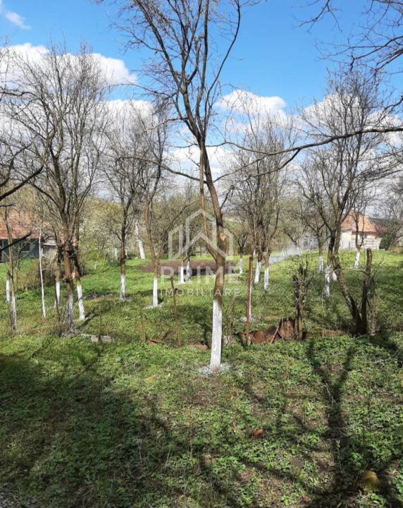 Terenuri de vanzare Henig 3