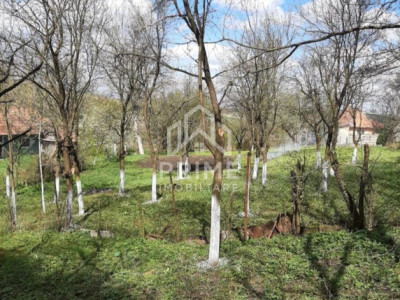 Terenuri de vanzare Henig imagine mica 3