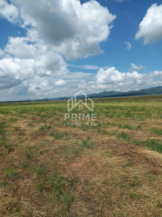 Terenuri de vanzare Sebes 1