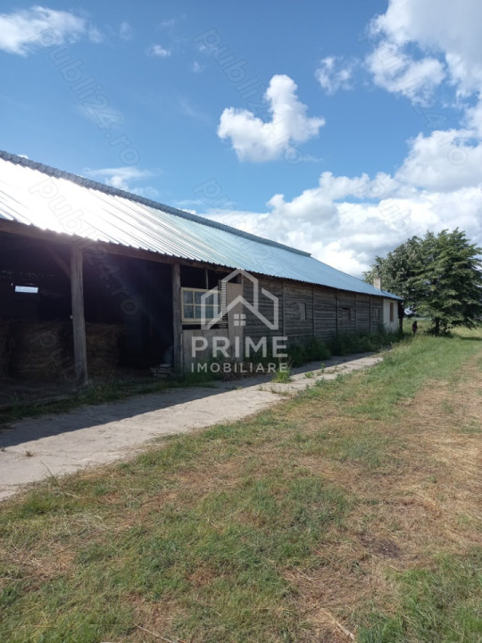 Terenuri de vanzare Sebes 2