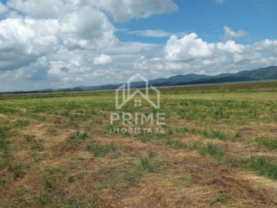 Teren extravilan cu saivan de animale de vanzare| 20.000 mp | SEBES.