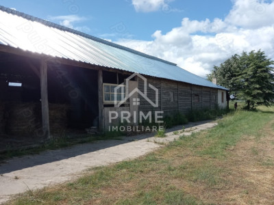 Terenuri de vanzare Sebes imagine mica 2