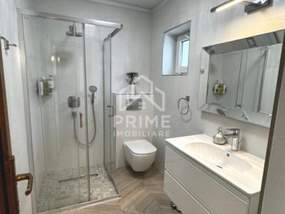 Case de vanzare Alba Iulia Micesti imagine mica 3