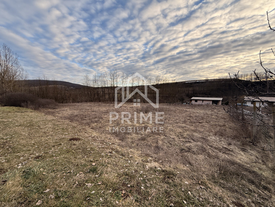 Terenuri de vanzare Teleac 1
