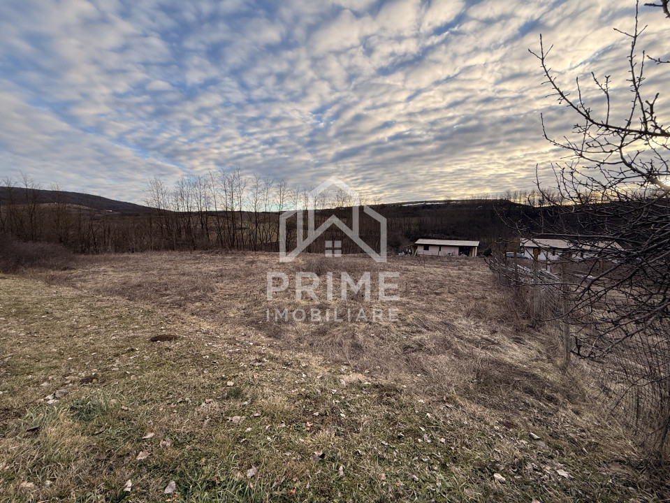 Terenuri de vanzare Teleac 2