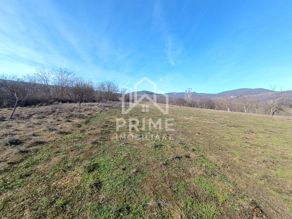 Terenuri de vanzare Paclisa 1
