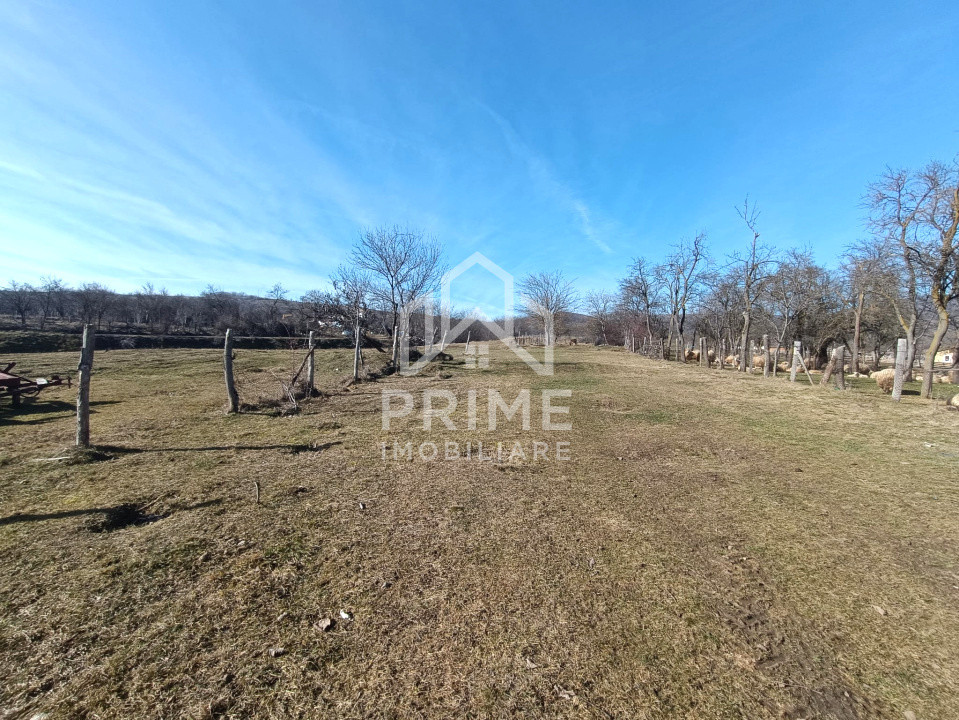 Terenuri de vanzare Paclisa 2