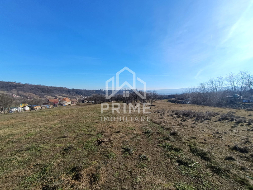 Terenuri de vanzare Paclisa 3
