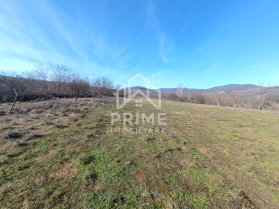 🌳 Teren Generos în Pâclișa – Intimitate și Natură la un pas de oraș