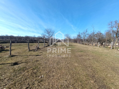 Terenuri de vanzare Paclisa imagine mica 2