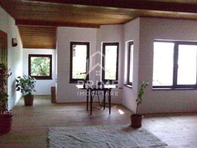 Case de vanzare Ciugud Central imagine mica 7