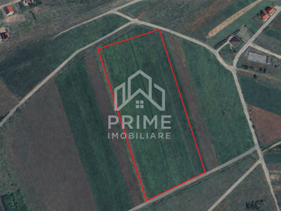 Teren intravilan ideal pentru dezvoltare rezidenția | 6450mp