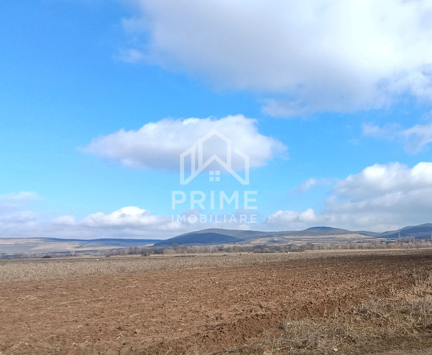 Terenuri de vanzare Alba Iulia 1