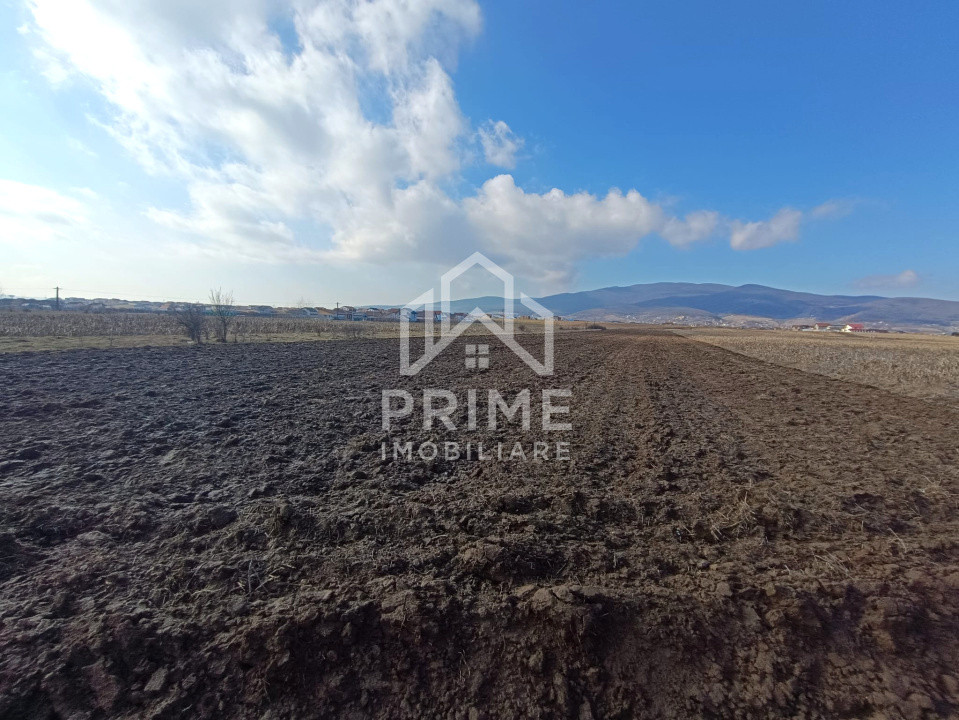 Terenuri de vanzare Alba Iulia 2