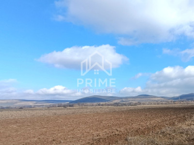 Teren intravilan 5.200 mp – ideal proiect imobiliar, zona Bărăbanț–Micești