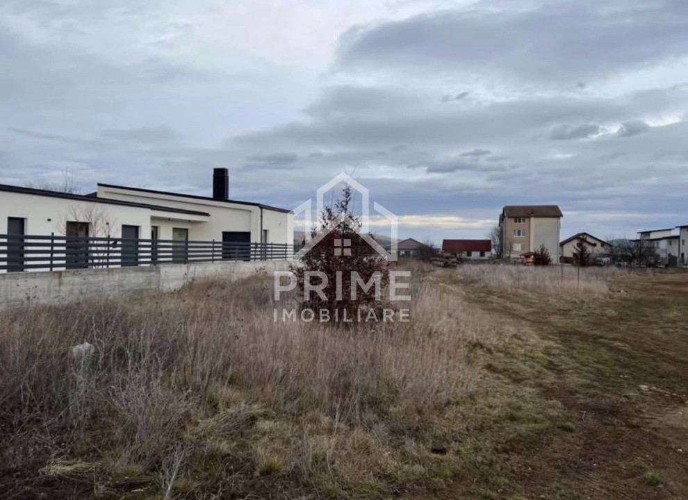 Terenuri de vanzare Micesti 1