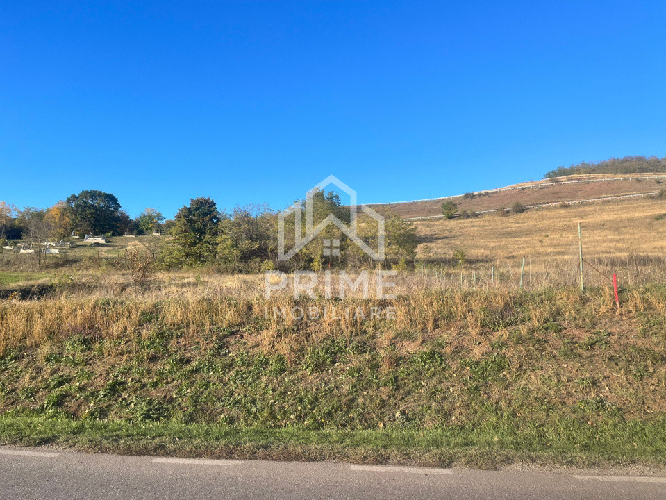 Terenuri de vanzare Hapria 1