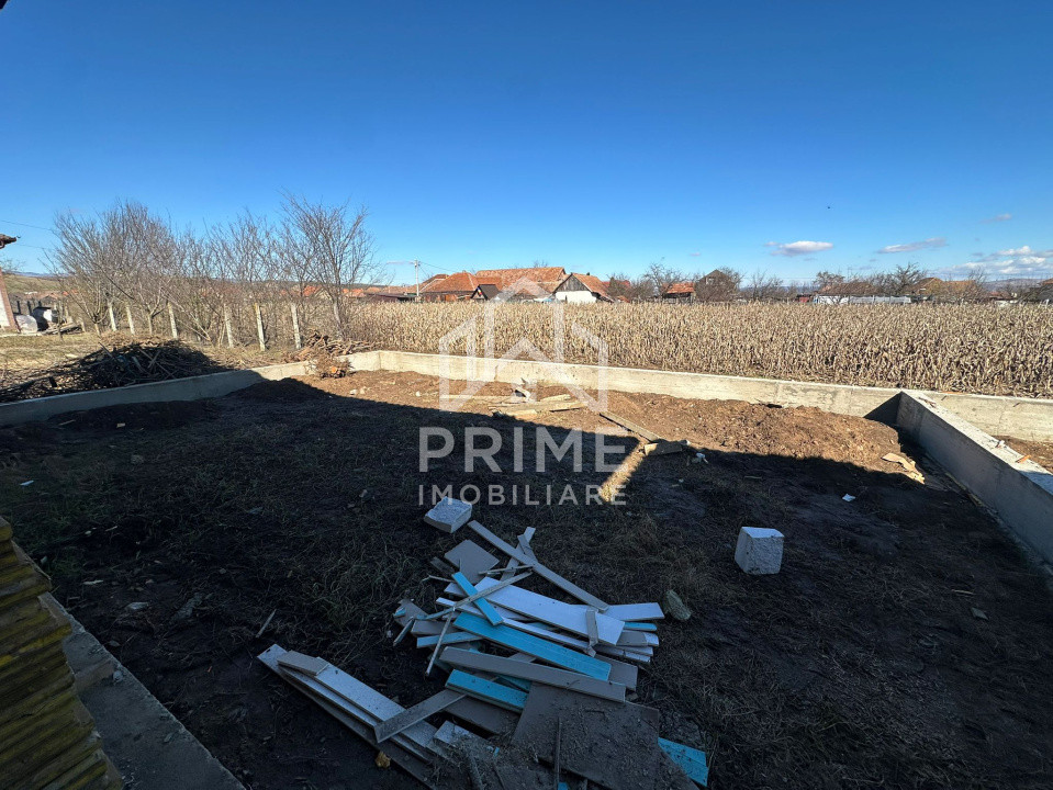 Case de vanzare Teius 7