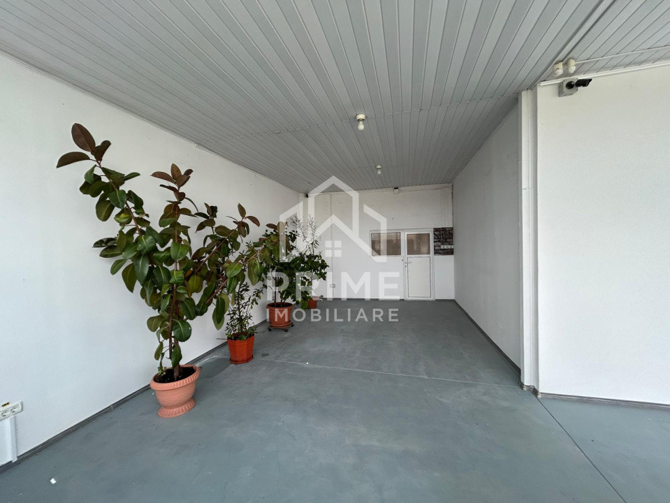 Spatii industriale de vanzare Alba Iulia Central 2