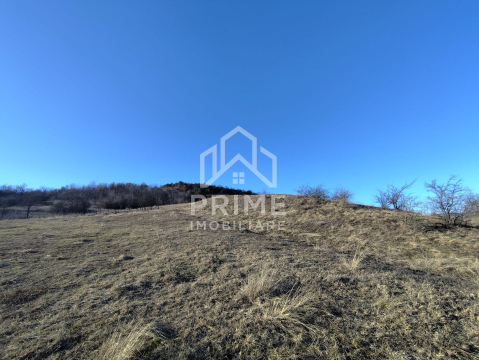 Terenuri de vanzare Parau lui Mihai Central 1