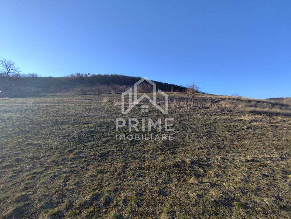 Terenuri de vanzare Parau lui Mihai Central 1