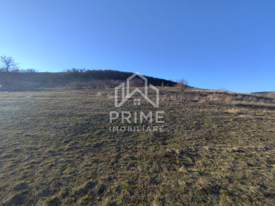 Tere Intravilan 1.406 mp| zona Pârâul lui Mihai 