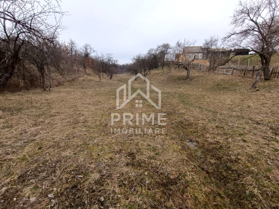 Terenuri de vanzare Pianu de Sus 1