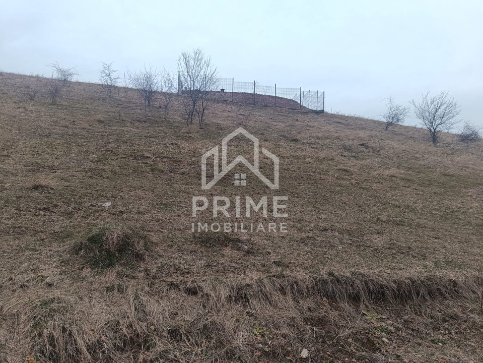 Terenuri de vanzare Alba Iulia Micesti 1