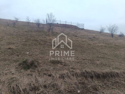 Teren intravilan 310 mp | Vedere panoramică | Cartier Micești |