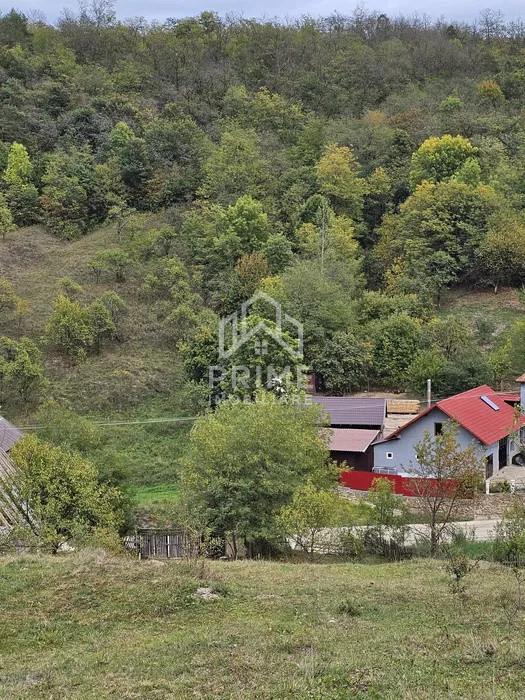 Terenuri de vanzare Metes 3