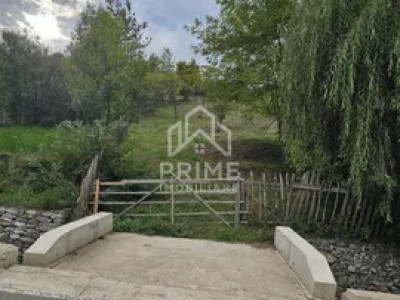 Teren intravilan, 5030 mp, Com. Meteș, Sat. Tăuți, Jud. Alba