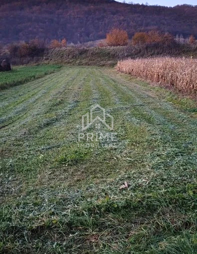 Terenuri de vanzare Tauti 1