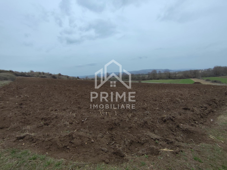 Terenuri de vanzare Parau lui Mihai 1