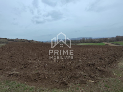 Teren Intravilan 9.700 mp| zona Pârâu lui Mihai 