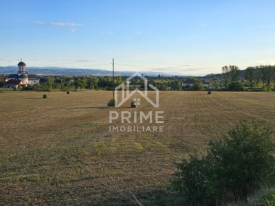 Teren intravilan 10200 mp, utilitati la limita parcelei - Alba Iulia