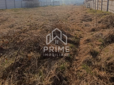 Teren intravilan 2600 mp | 2 deschideri | utilitati in zona | Micești