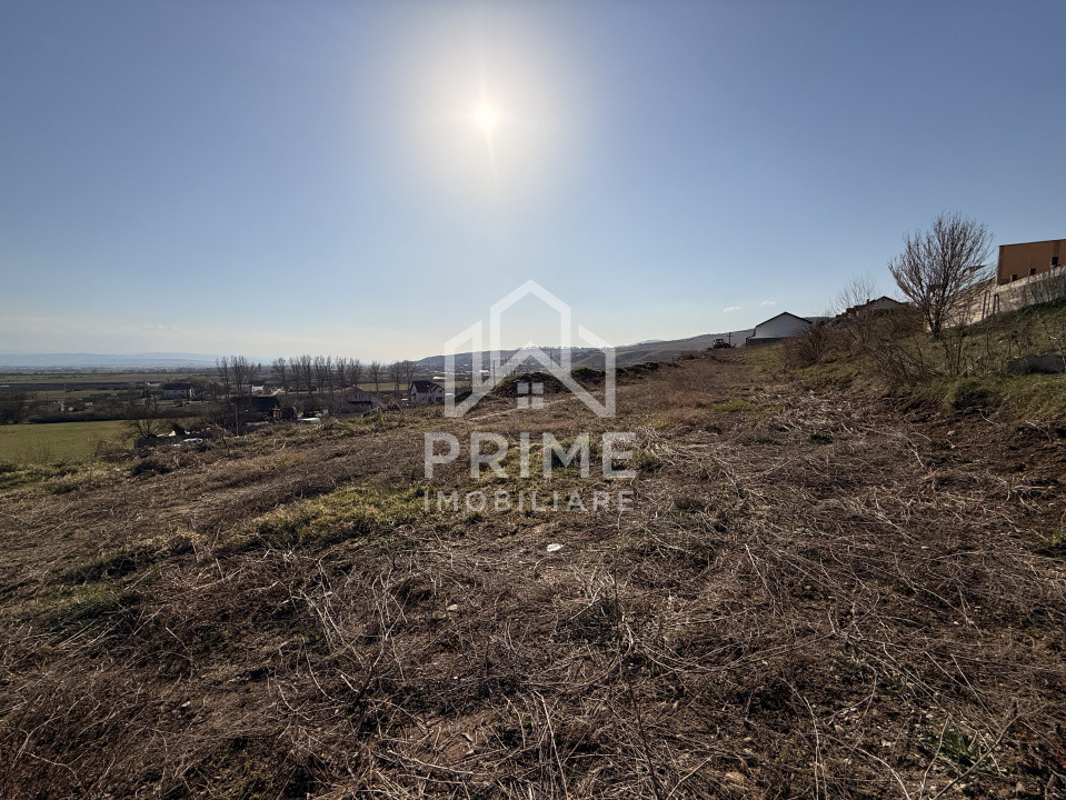 Terenuri de vanzare Alba Iulia Cetate 5