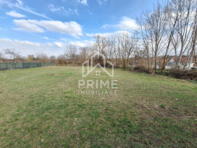 Terenuri de vanzare Ighiu imagine mica 2