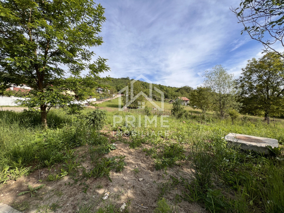 Terenuri de vanzare Alba Iulia Micesti 1