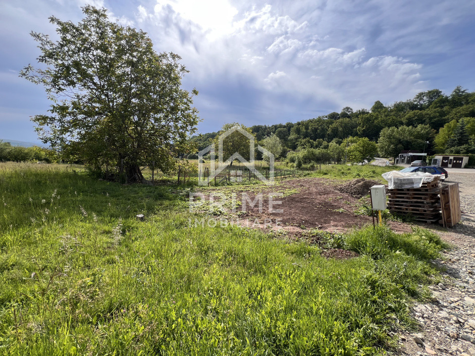 Terenuri de vanzare Alba Iulia Micesti 2