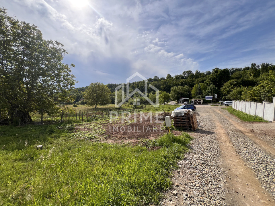 Terenuri de vanzare Alba Iulia Micesti 3