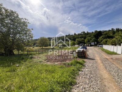 Terenuri de vanzare Alba Iulia Micesti imagine mica 3
