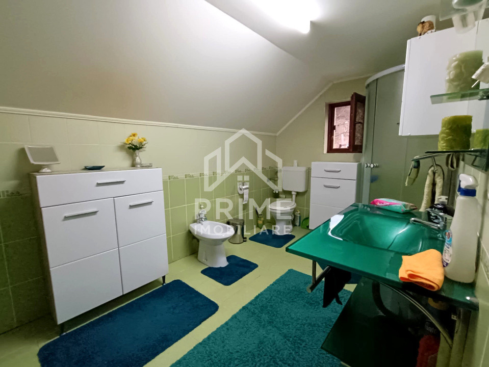 Case de vanzare Alba Iulia Micesti 7